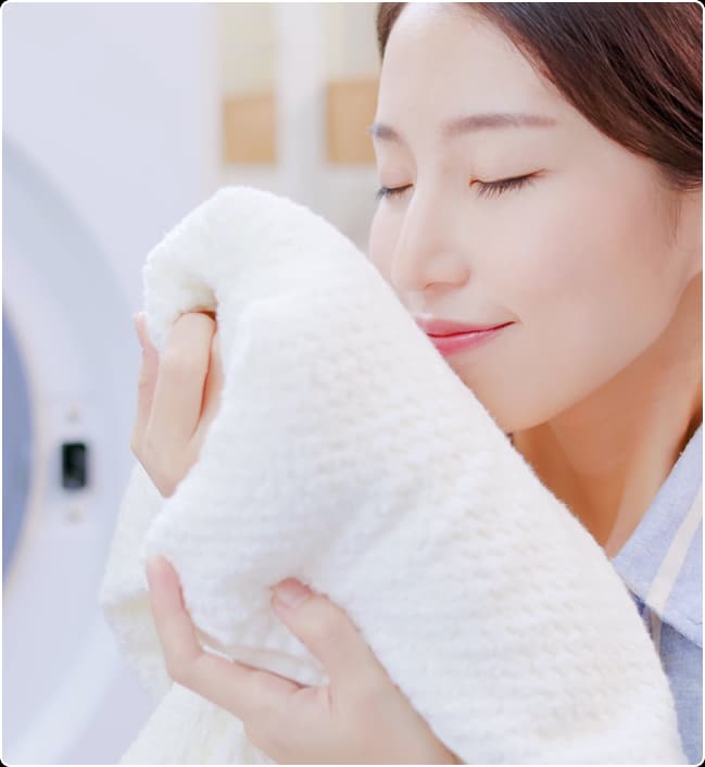 MAXfresh LAUNDRY team